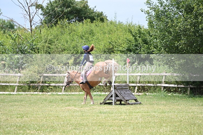 WJ6_6910 - 80cm XC Pairs