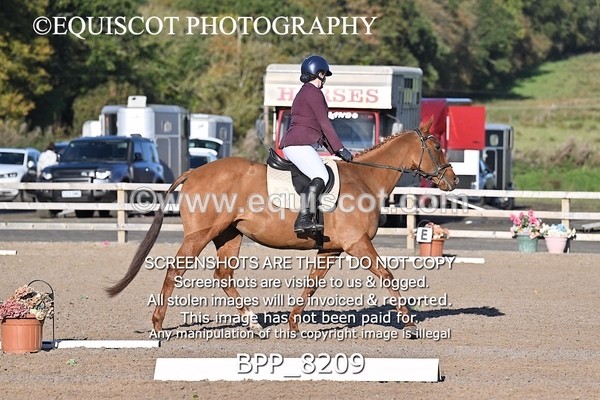 BPP_8209 - SHORT ARENA