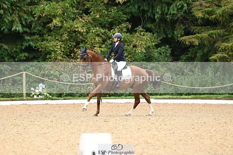 240811-102218-04995 - 110-Helen.Kitto-Da.Vinci.IV