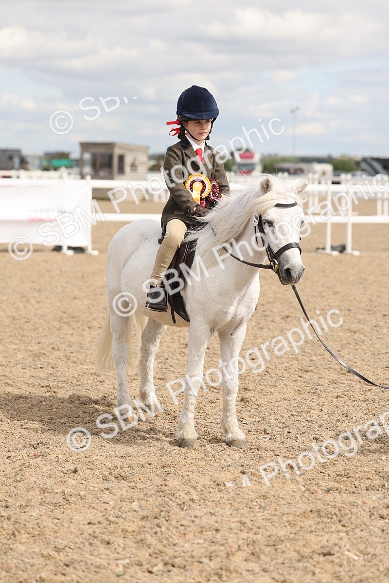SBM_15848 - Class 309 - Lead Rein Pony