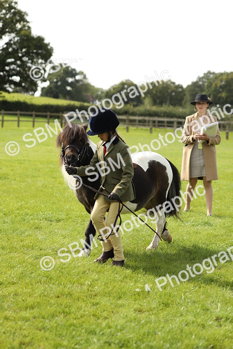 SBM_67750 - S39 - Junior Handler 8  Years & Under