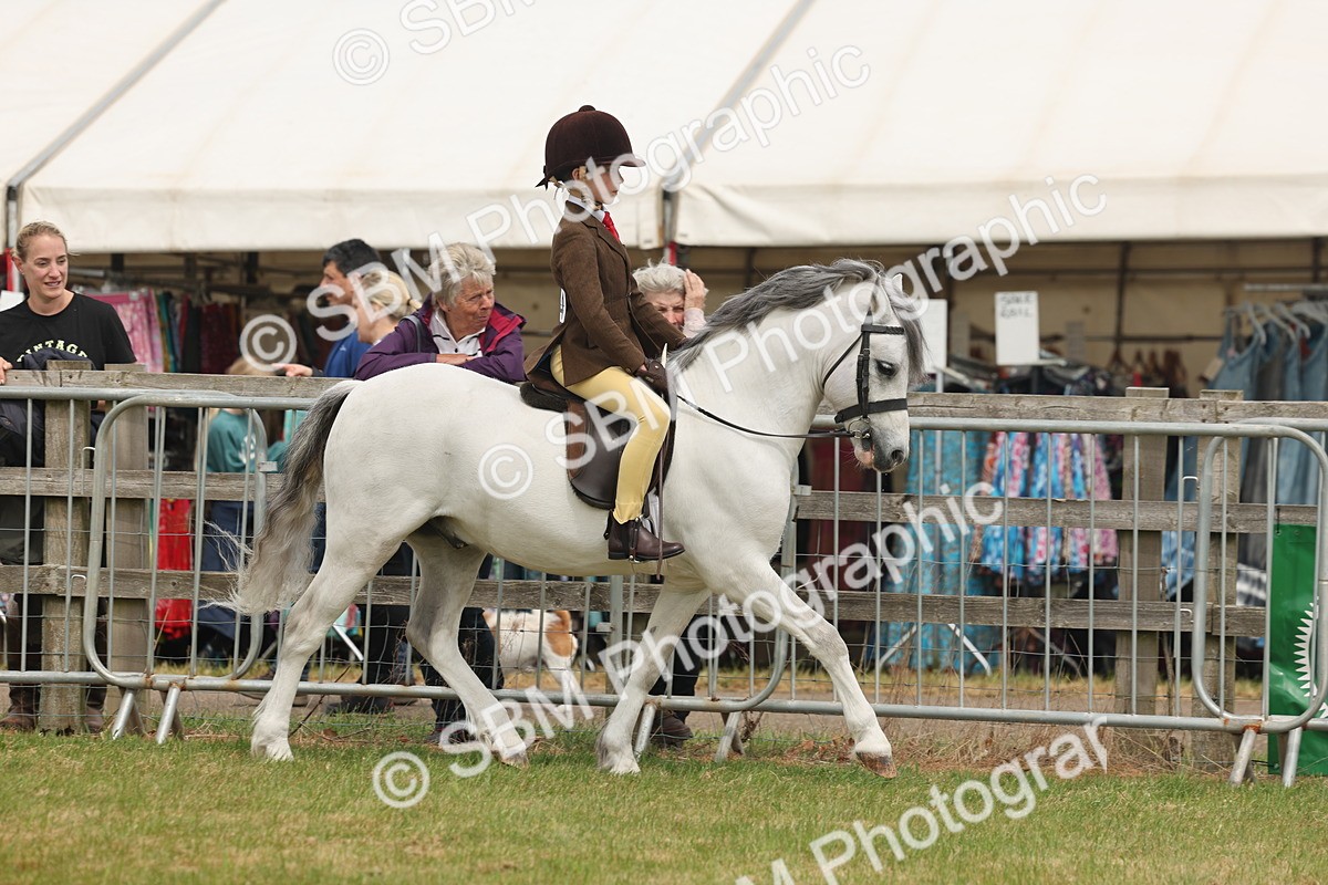 SBM_06865 - Class 74-75 - M&M Lead Rein and First Ridden Pony