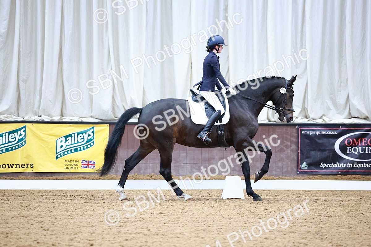 0B8A0279 - Class 4 - Novice 4