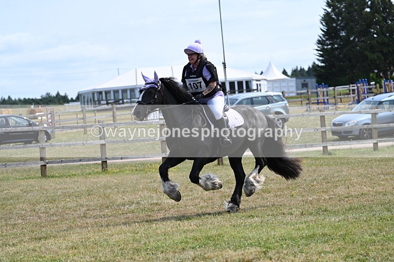 WJ7_2688 - 60cm Time 13:21 to 13:28