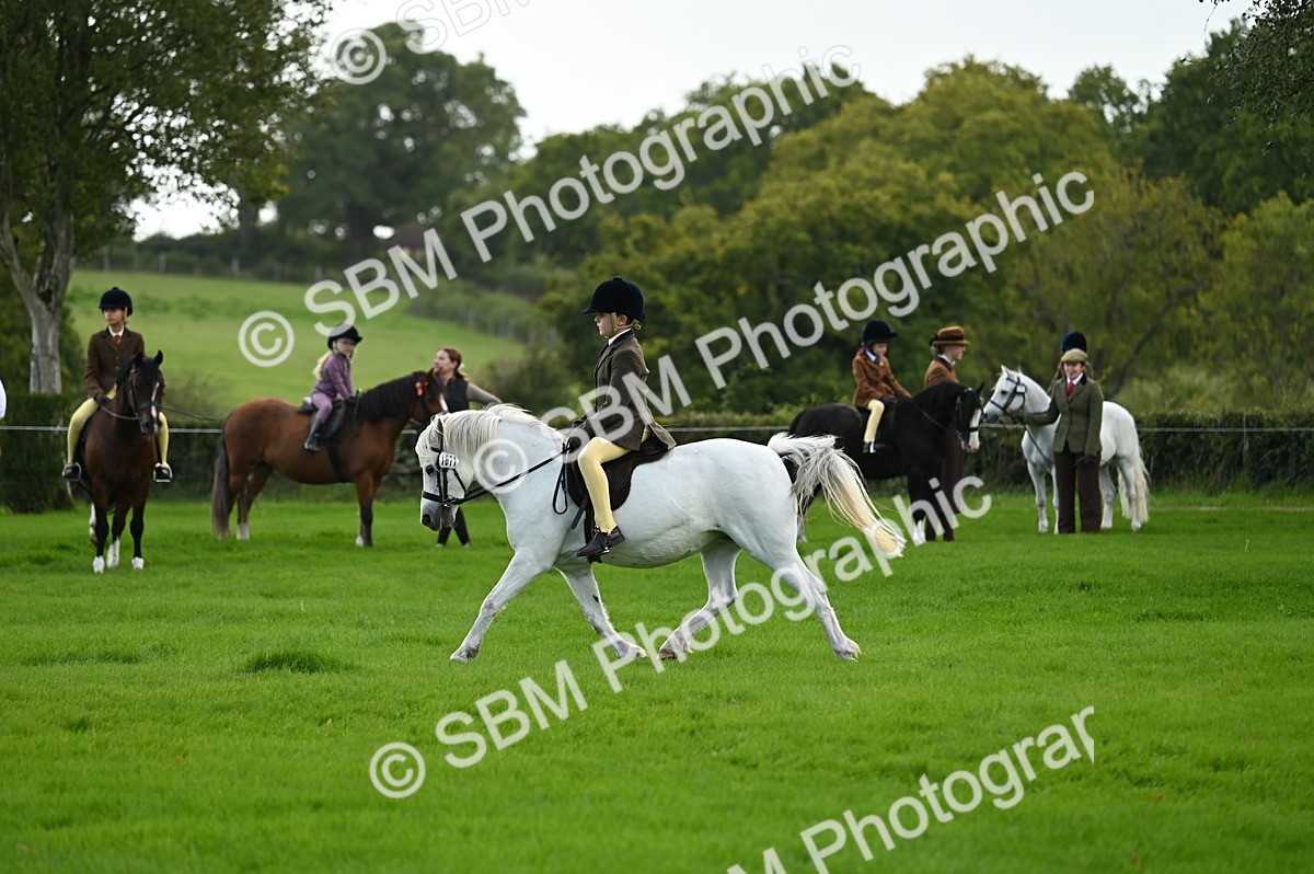 SBM_02890 - S3 - TSR Ridden Pony Showing