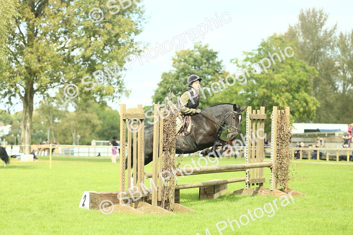 SBM_44734 - S31 - Working Hunter Pony