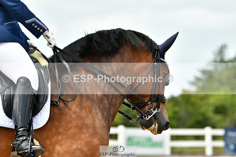 230702A-140852-10591 - Cls 32 Medium 73