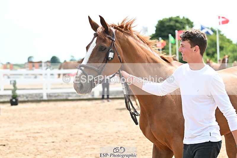 240717A-144303-02234 - Trot Up 2pm to 3pm - This folder is not in time order