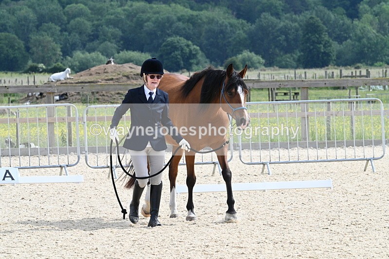 WJ7_8194 - Time 16:10 to 16:25