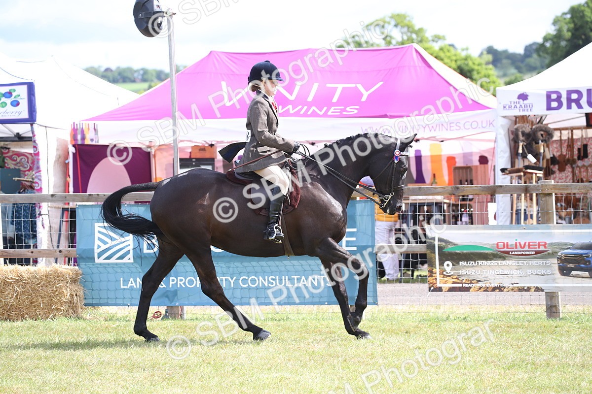 SBM_13207 - Class 95-96 - LIHS BSHA Rising Star Hack Riding Horse