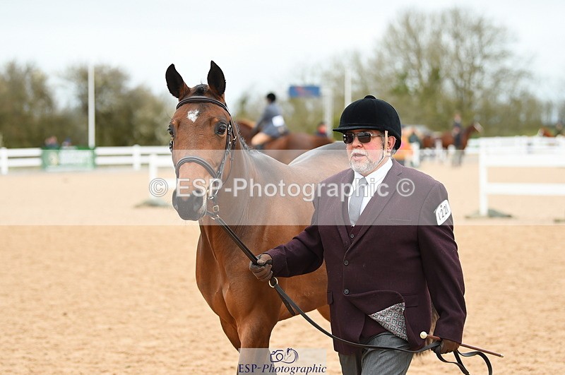 230416A-135742-04706 - Cls 46+43 In Hand Warmbloods and Foreign