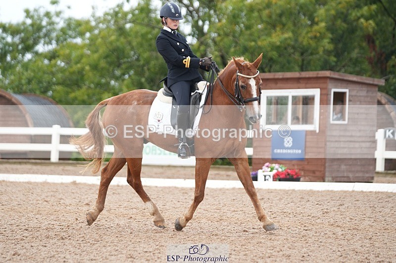 250907-153739-09589 - 122-India.JohnGrayswood.Orlando