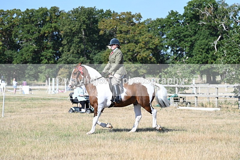 WJ7_3261 - Class 8 Ridden Tack & Turnout