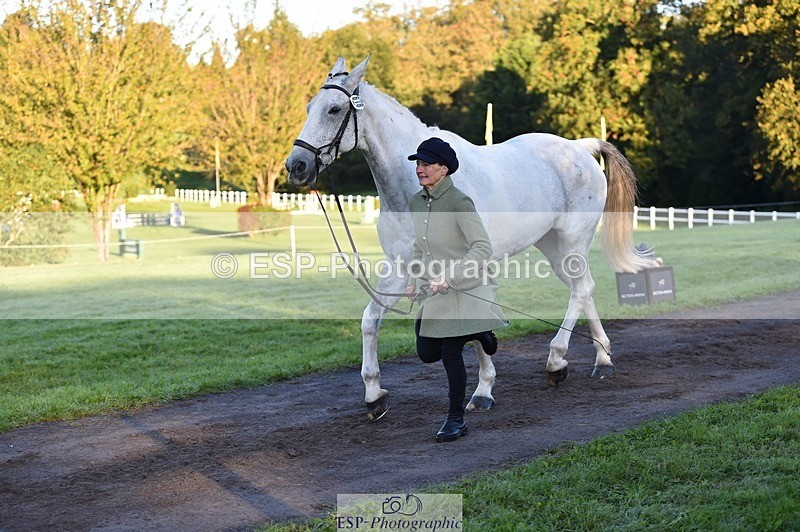 231022-085502-21448 - 618-LORD.PICTON.FREESTYLE-Penny.Corbett-TrotUp+SJ