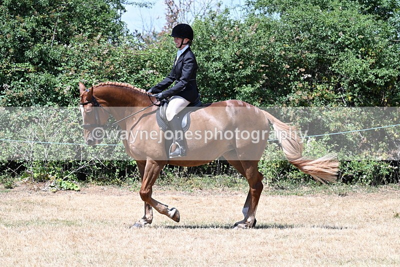 WJ7_2754 - Class 7 Riding Club Show Horse