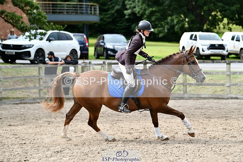 240825X-155658-36040 - 80cm SJ 14.00 to 15.55