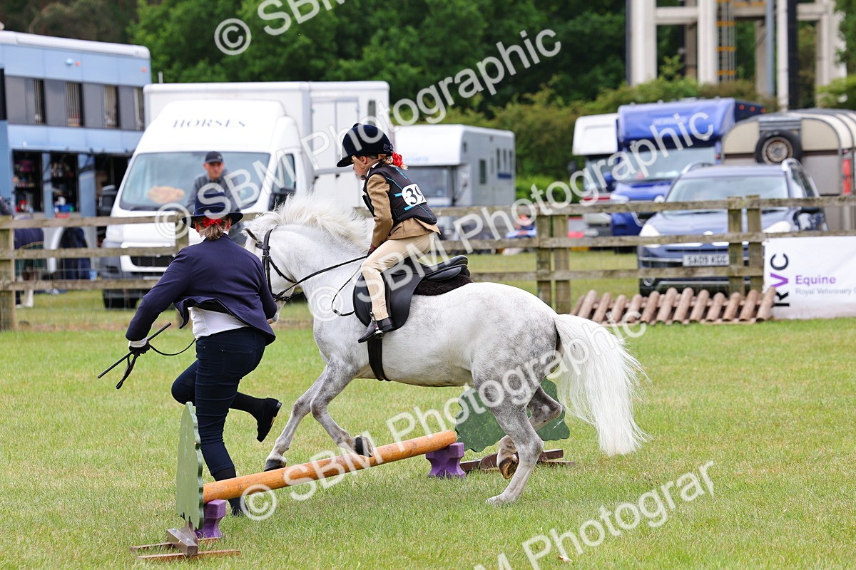 SBM_08132 - Class 42-43 - LIHS BSPS Heritage Working Sports Pony