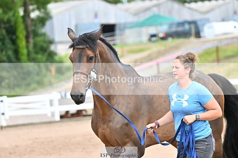240718A-105323-01938 - Trot Up 2pm to 3pm - This folder is not in time order