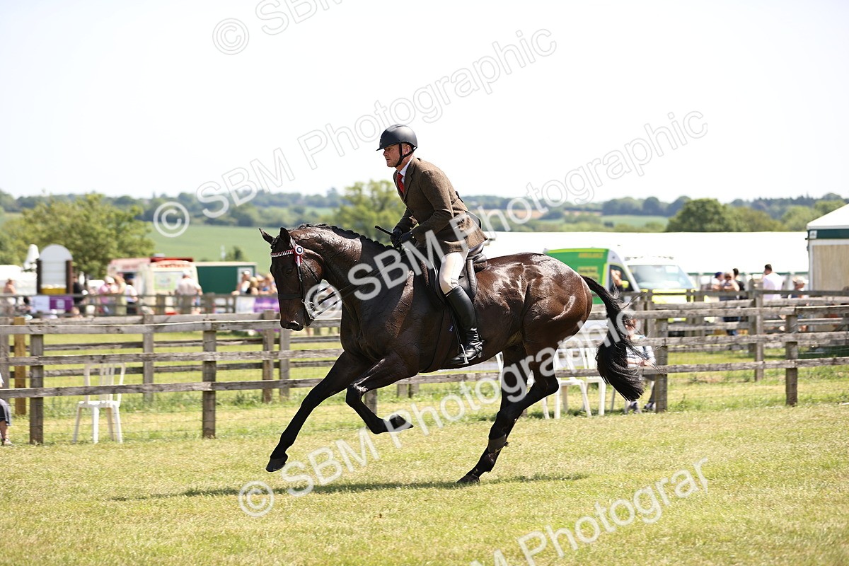 SBM_14905 - Class 78 - LIHS BSHA Open Racehorse & Show Horse