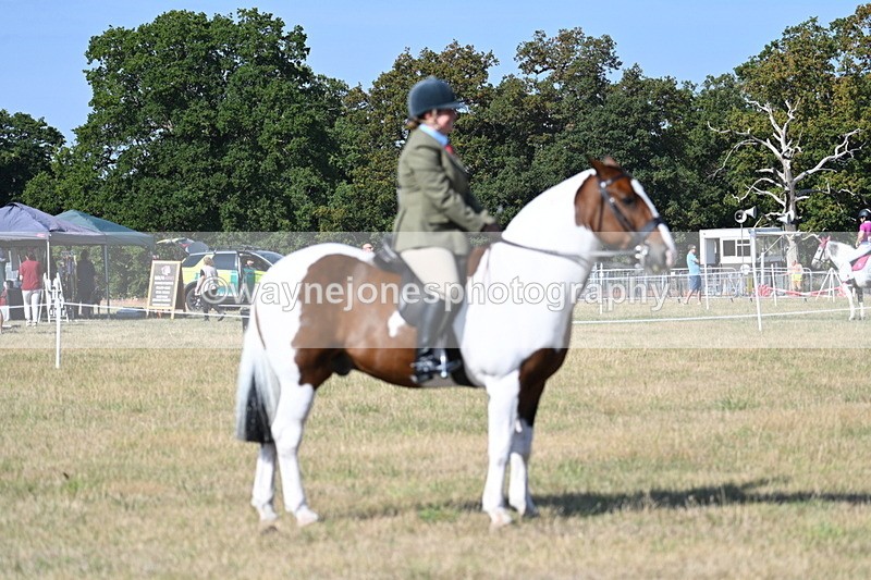 WJ7_2950 - Class 8 Ridden Tack & Turnout