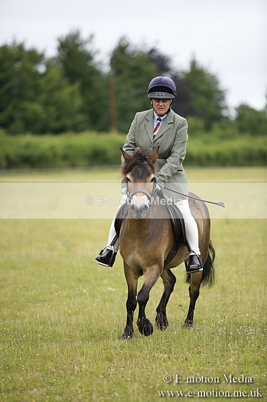 BVR160717-59 - Ring 1 BVRC Show 16/07/17