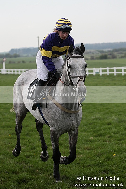 PtP 210418 247 - South & West Wilts Point-to-Point Larkhill 21/04/18