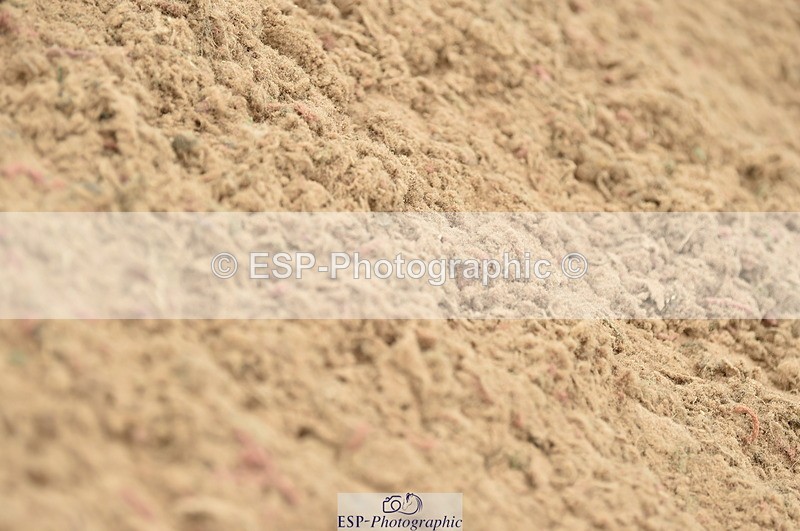 230611A-123148-05511 - Cls 34 1.05m Amateur Qualifier