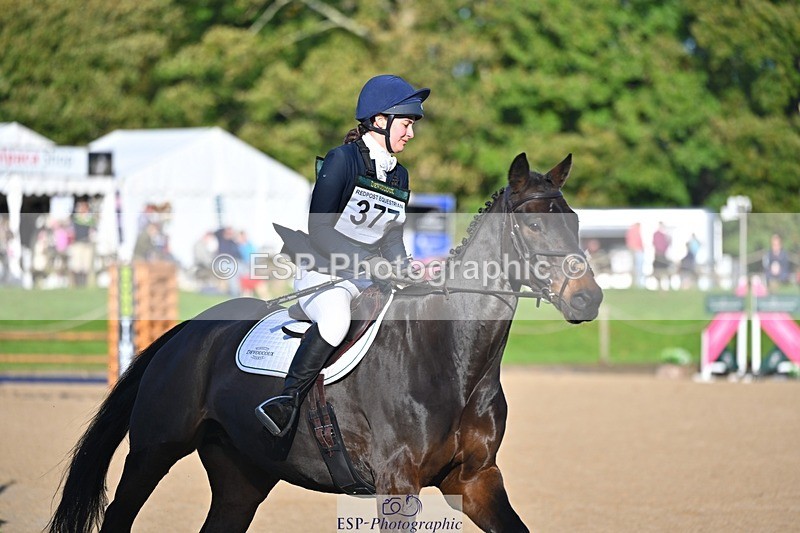 241027-094837-16123 - 377-Bethany.Hull-CARRICK.DIAMOND.OLIVER