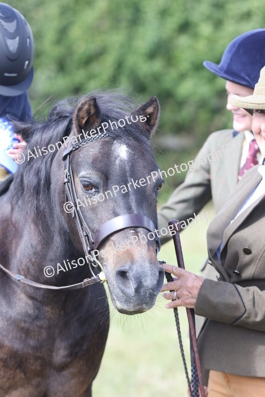 20250831-3266 - Class 24 - Absolute Beginners Pony