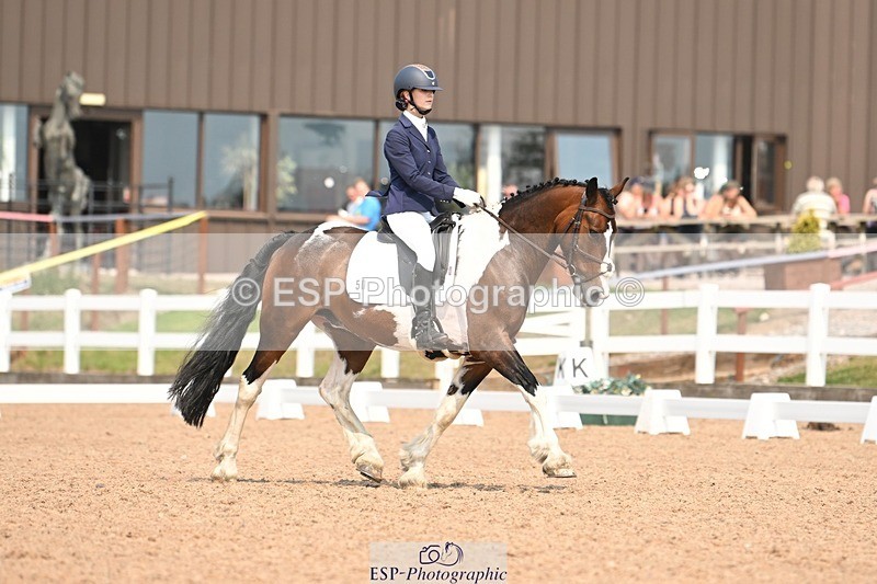 250816-140534-05004 - 050-Mollie.SheathTouch.Wood