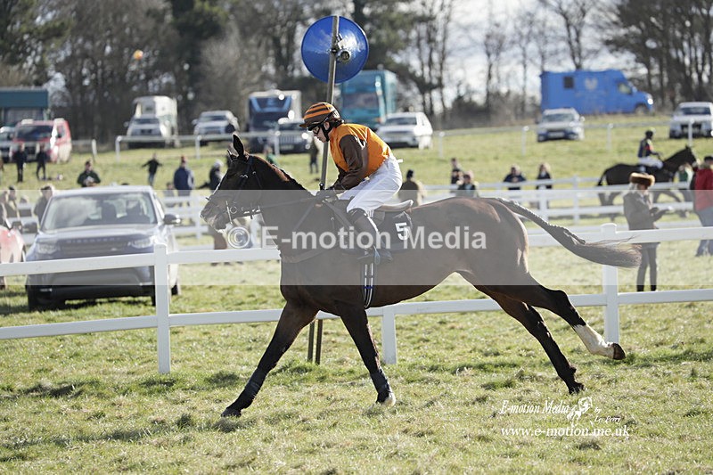 PtP 260223 899 - South & West Wilts Point-to-Point Larkhill 26/02/23