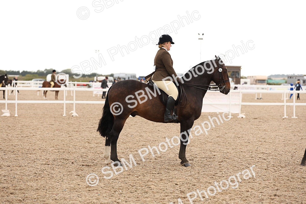 SBM_19594 - Class 215 - Ridden Show cob