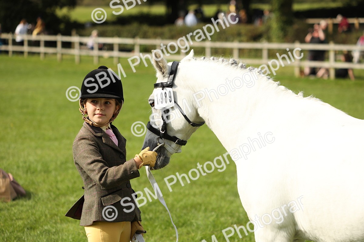 SBM_68654 - S40 - Junior Handler 9-12 Years