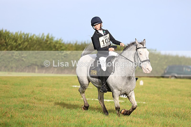 3E7A5178 - Class 1: Trebudannon Open: Dressage