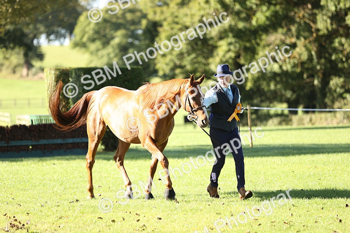 SBM_15793 - S1 - TSR in Hand Horse & Pony Showing