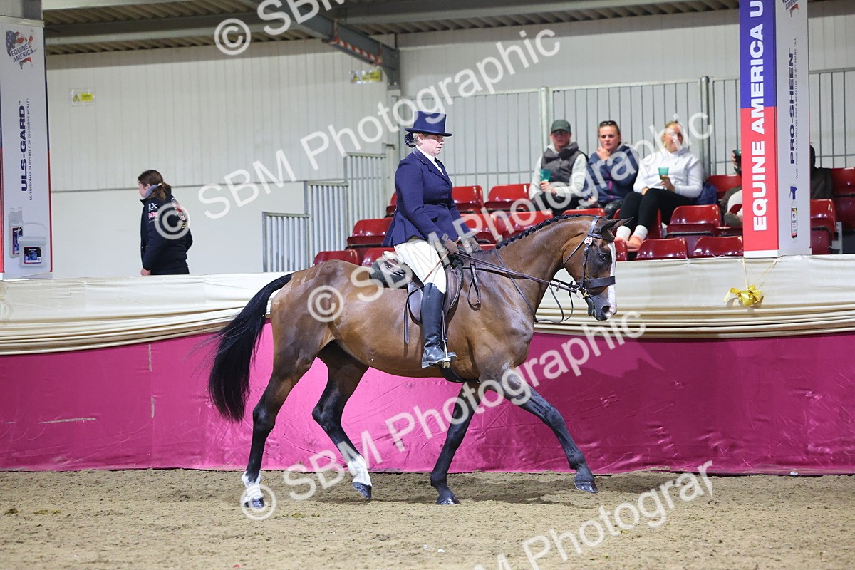 0B8A4580 - Class Q Style & Performance Champ