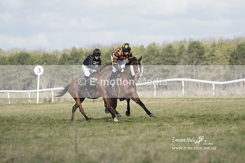 PtP 260223 441 - South & West Wilts Point-to-Point Larkhill 26/02/23