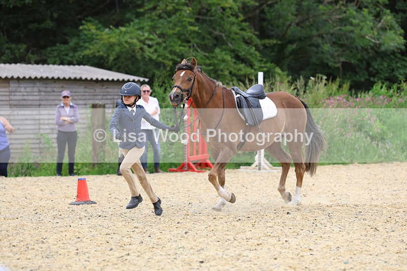 3E7A9566 - Walk trot run