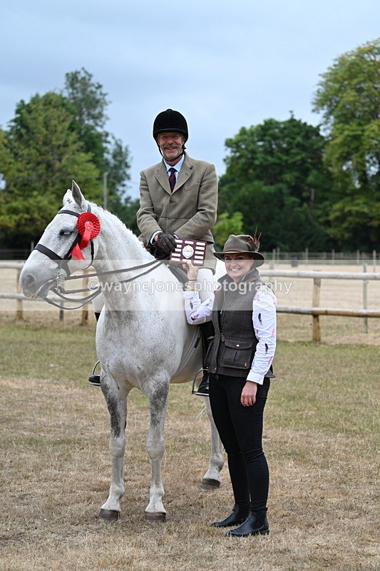 WJ7_1013 - Class 7 Riding Club Show Horse