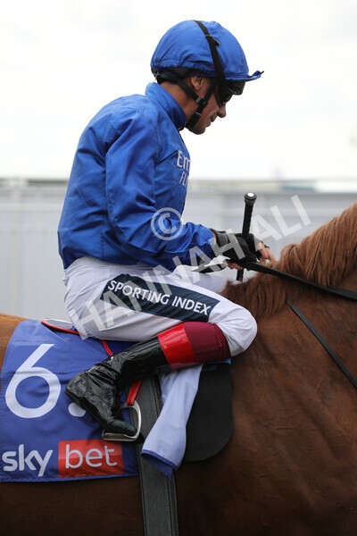 yr20082022r2-12 - Race 2 2.35pm Sky Bet Melrose Stakes