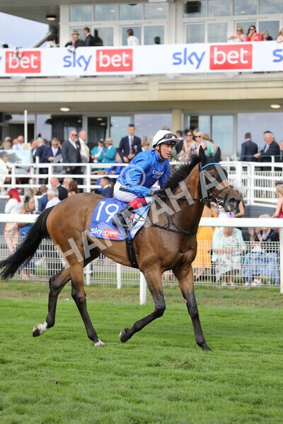 yr20082022r4-215 - Race 4 3.35pm Sky Bet Ebor