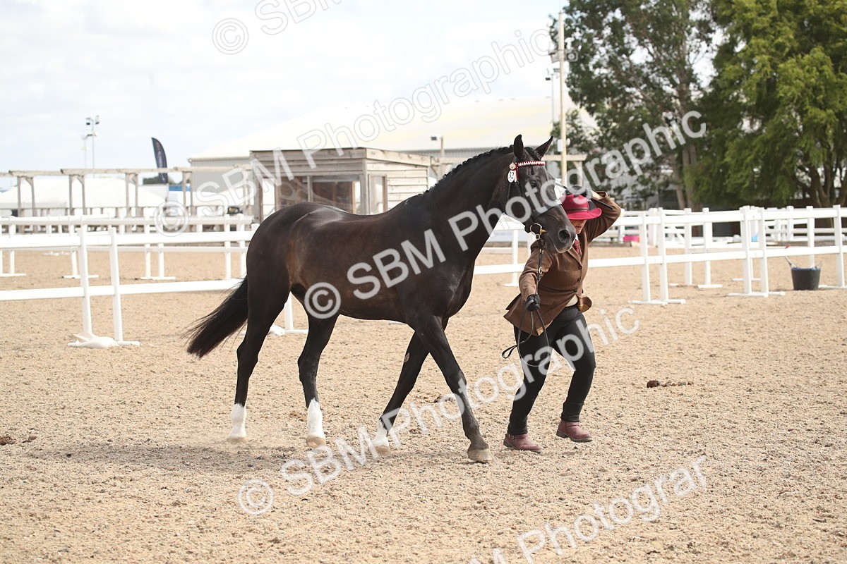 SBM_23463 - Class 604 - 2026 - Area IH Diamond