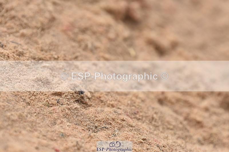 230813A-094018-11240 - Cls 47 National 1.30m