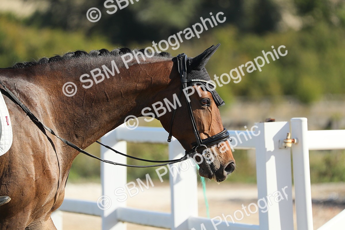 SBM_000705 - Class 4 - N4