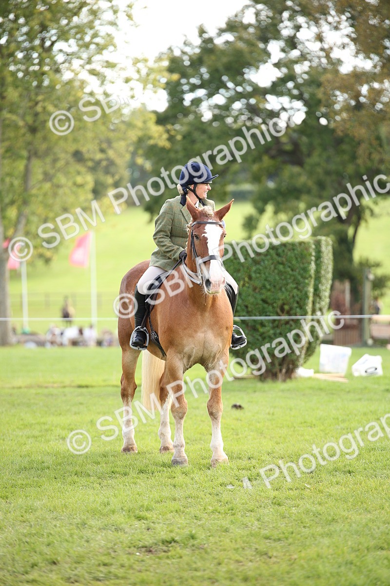 SBM_50223 - S26 - Young Veteran - Ridden