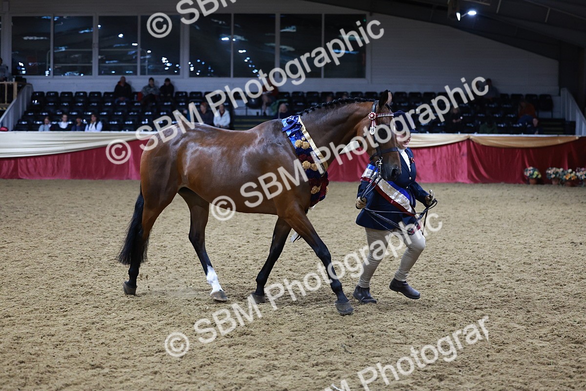 SBM_20371 - Class E - Best Turned Out Champ