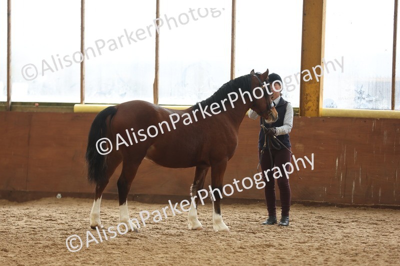 20251109-0879 - Class 26 - 2 and 4 Year Olds