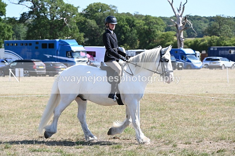 WJ6_8263 - Class 37a Best Loan Pony Ridden
