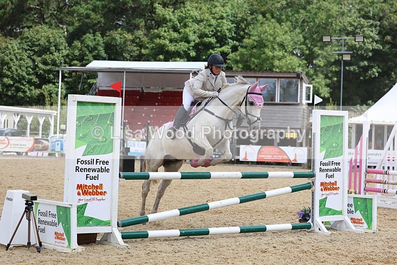 3E7A4914 - Class 4: Senior British Novice/90cm open