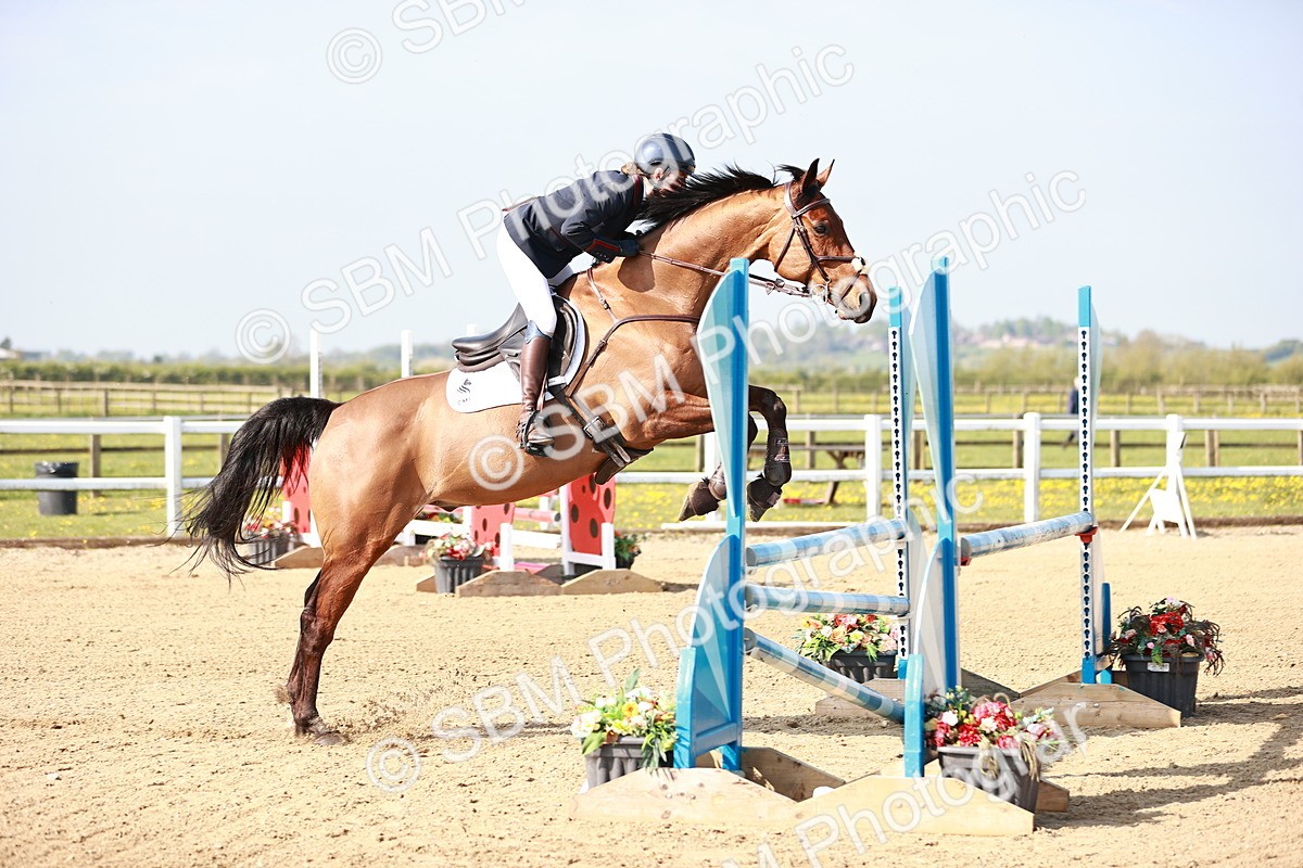  - Class 21 - Senior British Novice - 90cm